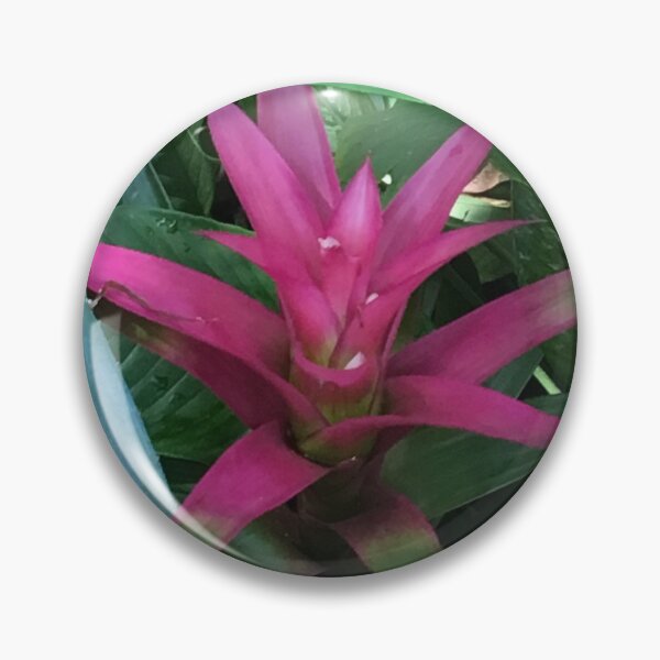 Item preview, magenta bromiliad designed and sold by floresenlaarena.