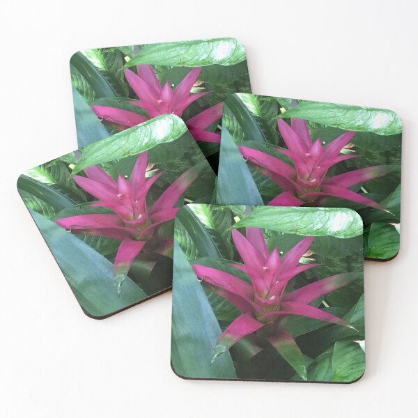 Item preview, magenta bromiliad designed and sold by floresenlaarena.