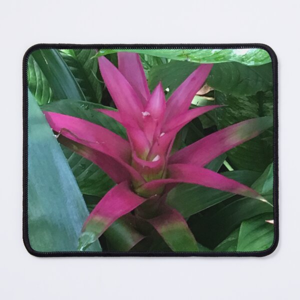 Item preview, magenta bromiliad designed and sold by floresenlaarena.