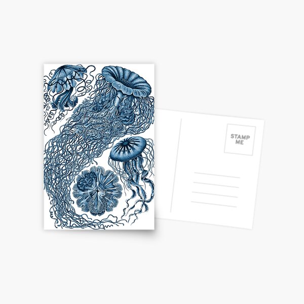 Item preview, Ernst Haeckel Jellyfish Discomedusae Prussian Blue designed and sold by aimeewilson.