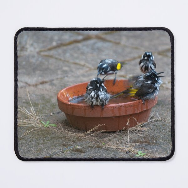 Item preview, Bath time designed and sold by Mark Prior.