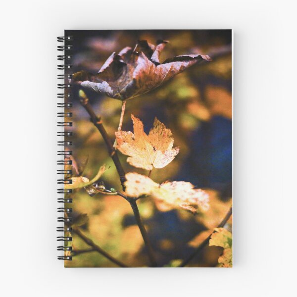 Item preview, Looking - A View designed and sold by Carl Gaynor.