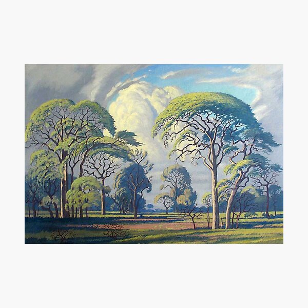 Item preview, Pierneef Collection designed and sold by Rankin1309.