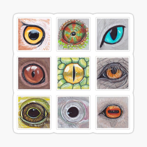 Neuf Yeux Sticker