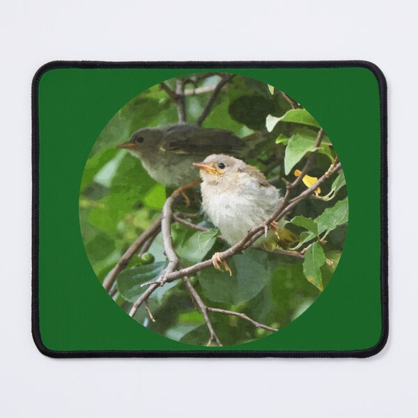 Item preview, Waiting for Food designed and sold by Anita Oakley.