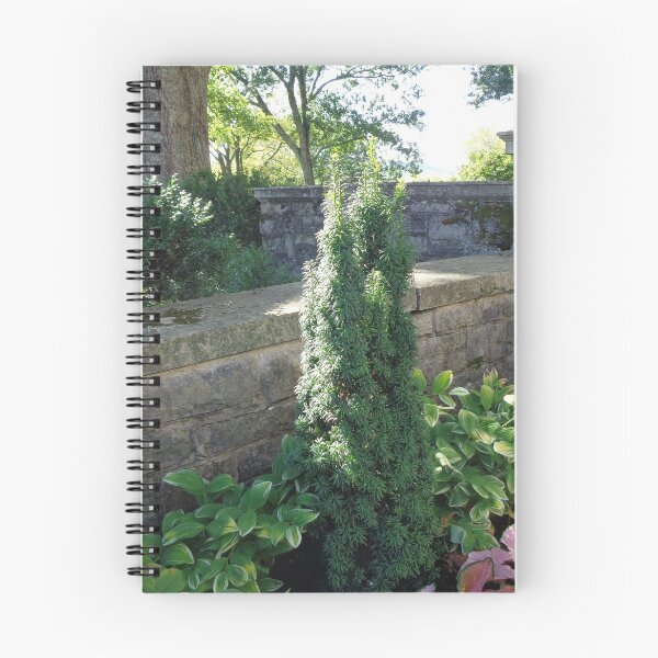Item preview, Shaded Wall designed and sold by GardenArtworks.