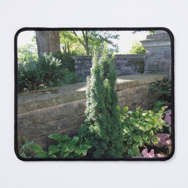 Item preview, Shaded Wall designed and sold by GardenArtworks.
