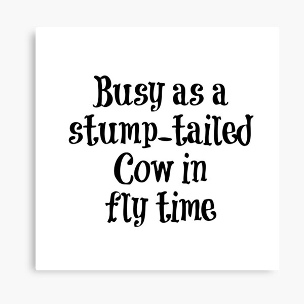 Signs of Life series #8 CowFlies Canvas Print