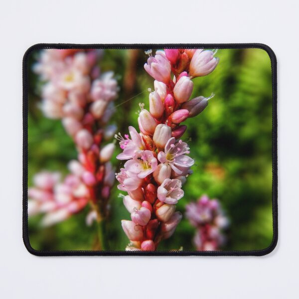 Item preview, Rare Pink flower of Spring designed and sold by ahnafpiash.