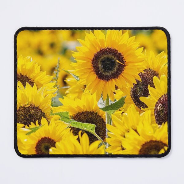 Item preview, Sunflowers designed and sold by debjaynedesign.