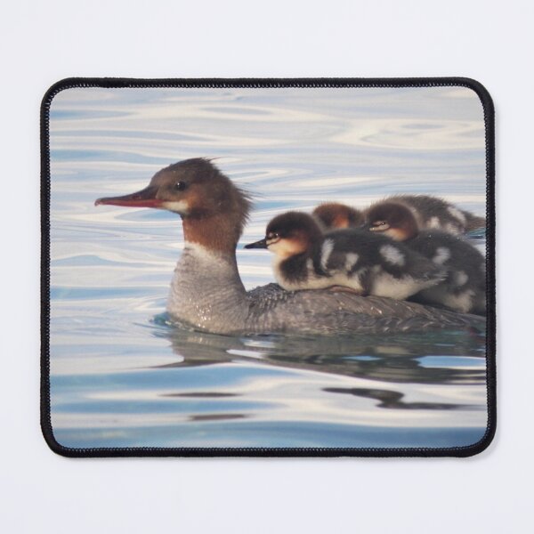 Item preview, Merganser Family designed and sold by KristinaL.