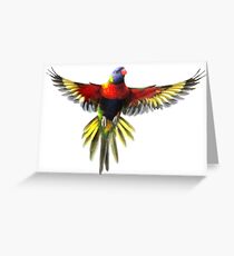 the rainbow lorikeet Greeting Card