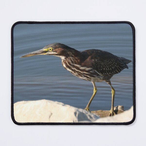 Item preview, Perseverance designed and sold by Anita Oakley.