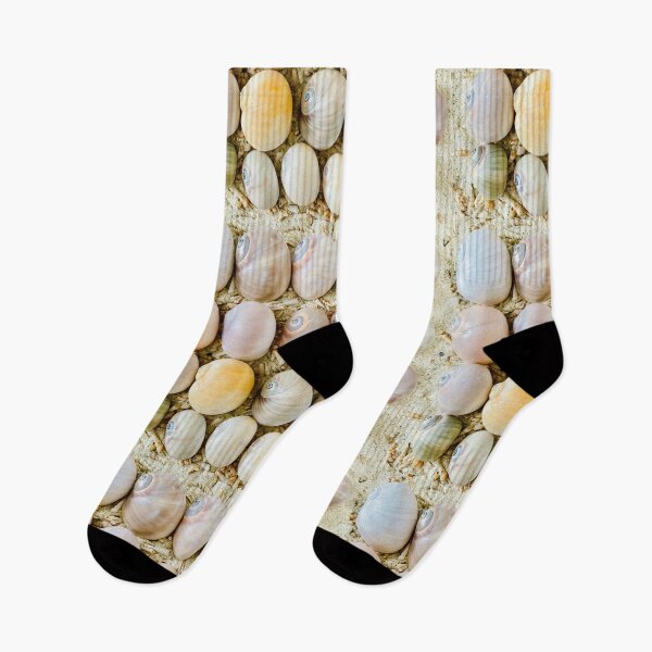 Item preview, Sea snail sea shells washed up on beach  designed and sold by C-L-Cs.