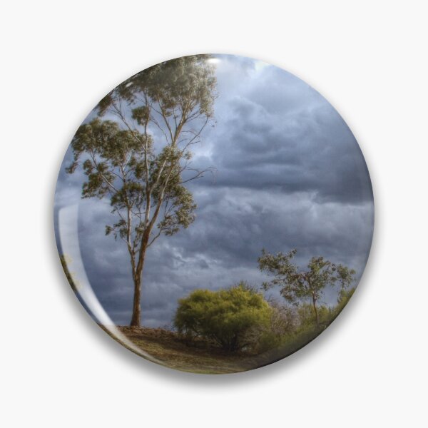 Item preview, Blue gum tree near Tanunda, Australia designed and sold by Jenny Setchell.