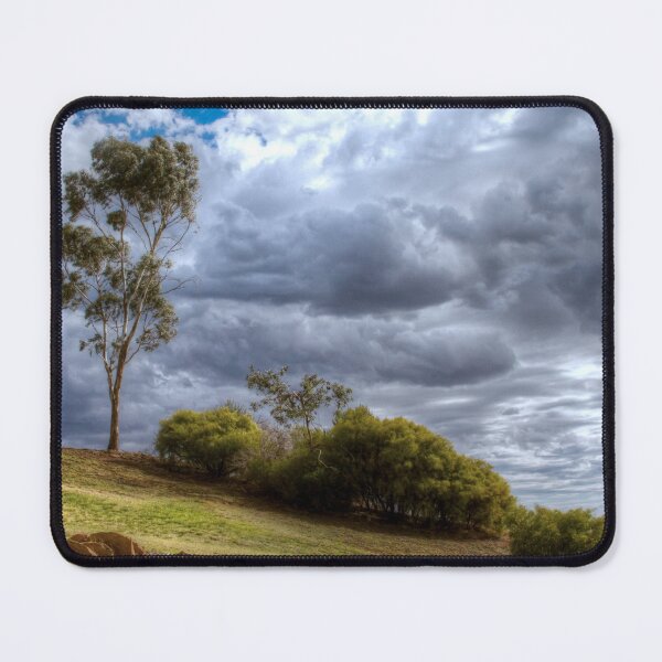 Item preview, Blue gum tree near Tanunda, Australia designed and sold by Jenny Setchell.