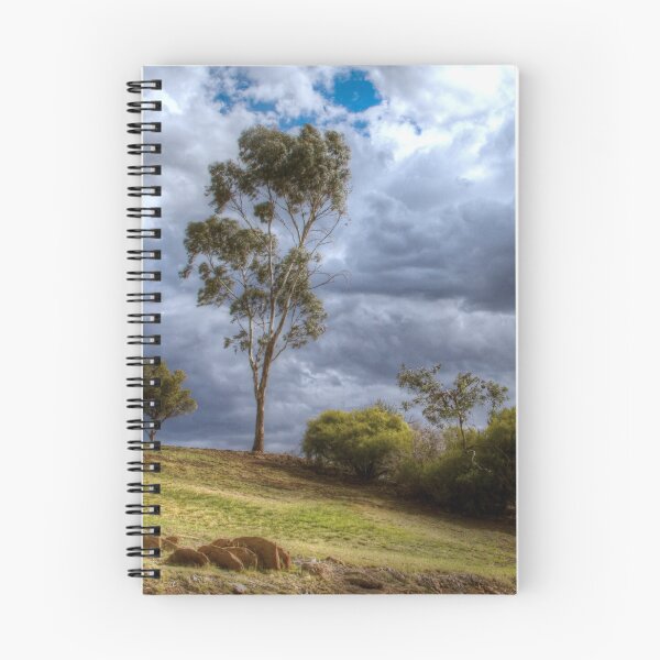 Item preview, Blue gum tree near Tanunda, Australia designed and sold by Jenny Setchell.
