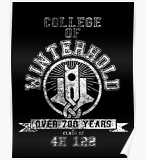Skyrim - College Of Winterhold - College Jersey Poster