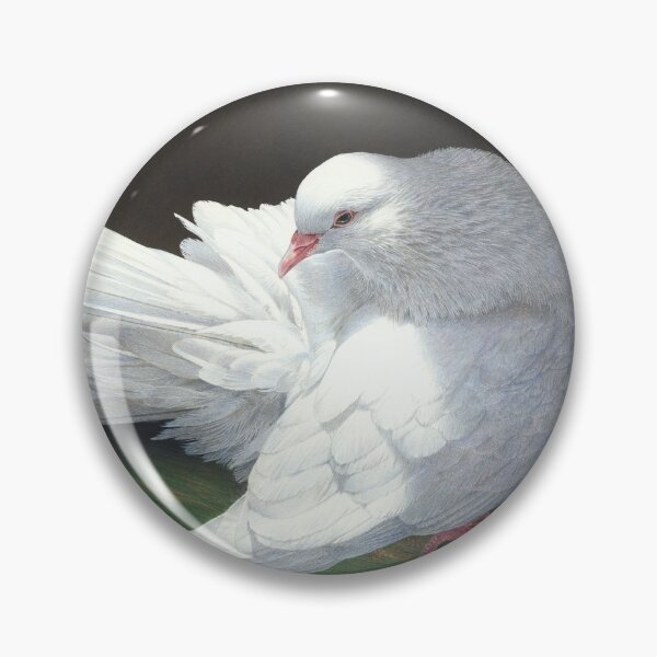 Item preview, "Sunbathing" (Barbary Dove) designed and sold by Frances McMahon Watercolour Bird Artist.
