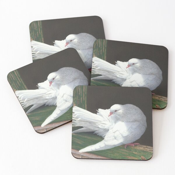 Item preview, "Sunbathing" (Barbary Dove) designed and sold by Frances McMahon Watercolour Bird Artist.