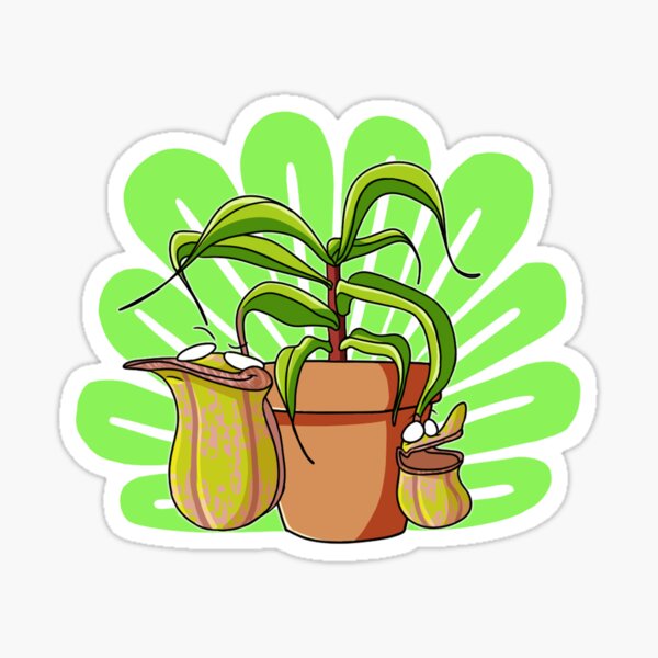 Nepenthes mirabilis (Galaxy Case Compatible Version) Sticker
