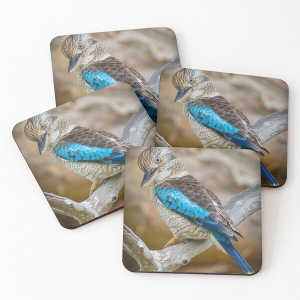 Item preview, Blue-winged Kookaburra designed and sold by Roger  Mackertich.