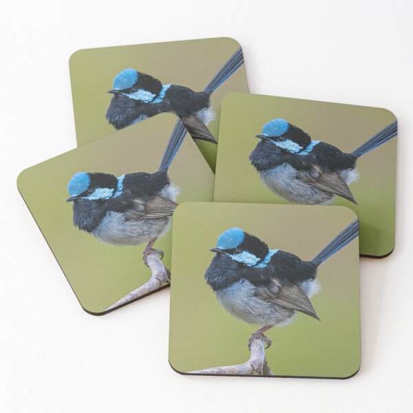 Item preview, Superb Fairywren designed and sold by Roger  Mackertich.