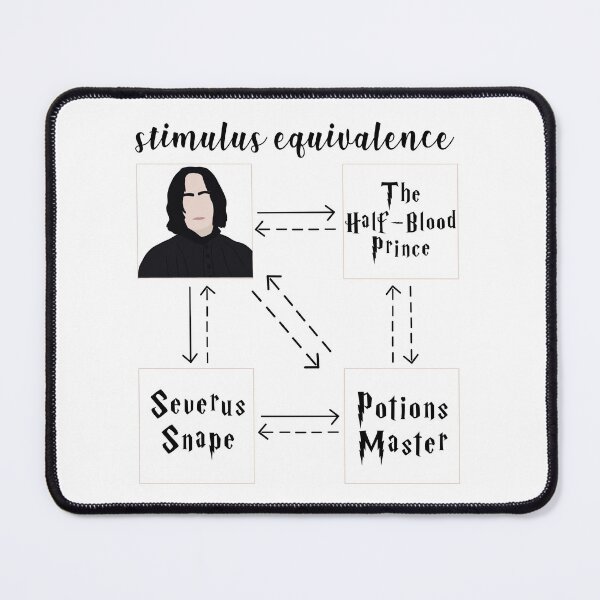 Item preview, Stimulus equivalence SS hp designed and sold by bcbayay designs.