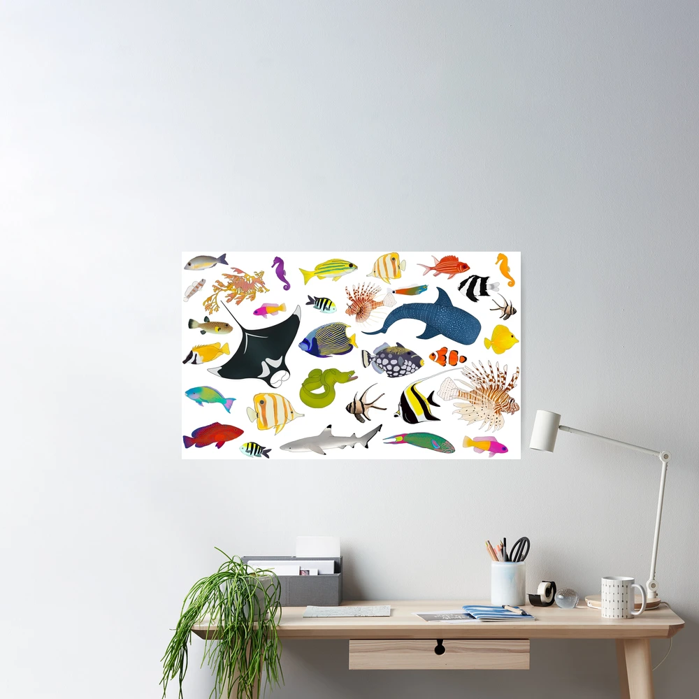 Poster mit tropischen Wildfischarten, Brett Blumenthal