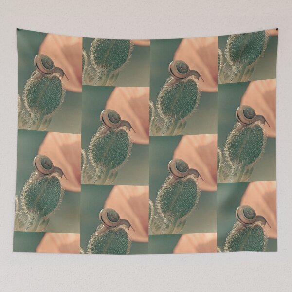 Item preview, The poppy and the snail designed and sold by etkata4.