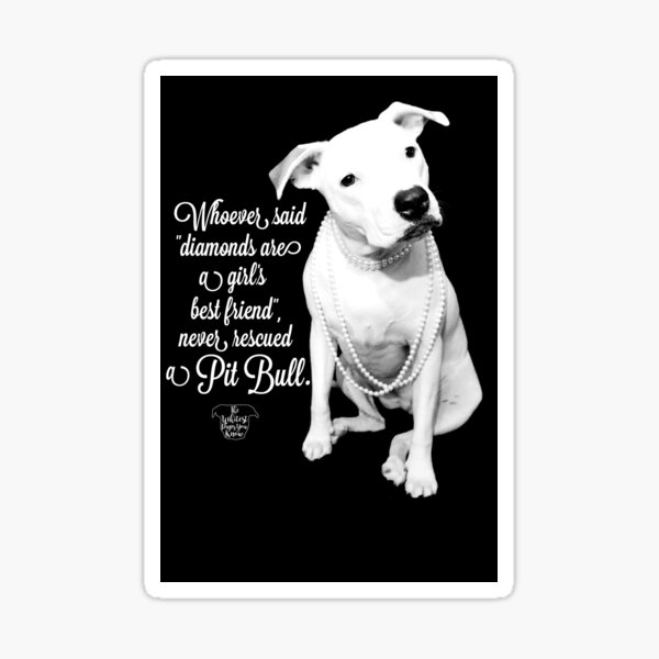 Item preview, Girls Best Friend Rescued Pit Bull designed and sold by Believeabull.