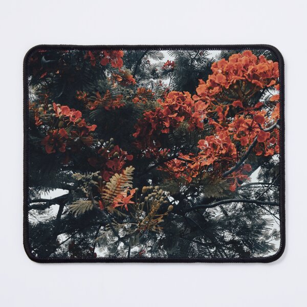 Item preview,  Royal Poinciana Color Splash Black and White Photo designed and sold by Princewilloc.