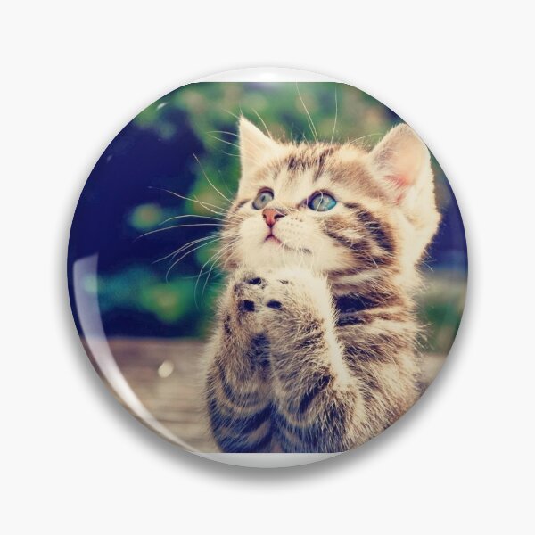 Item preview, Cat designed and sold by Matze115.