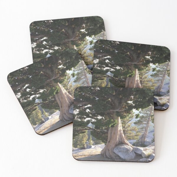 Artikelvorschau, Yosemite-Baum entworfen und verkauft von BradleyBee.