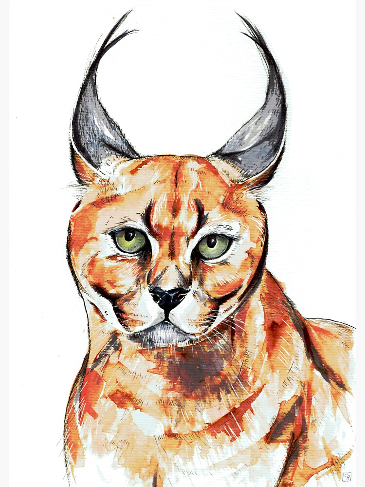 big floppa - caracal Sticker for Sale by faelarvae