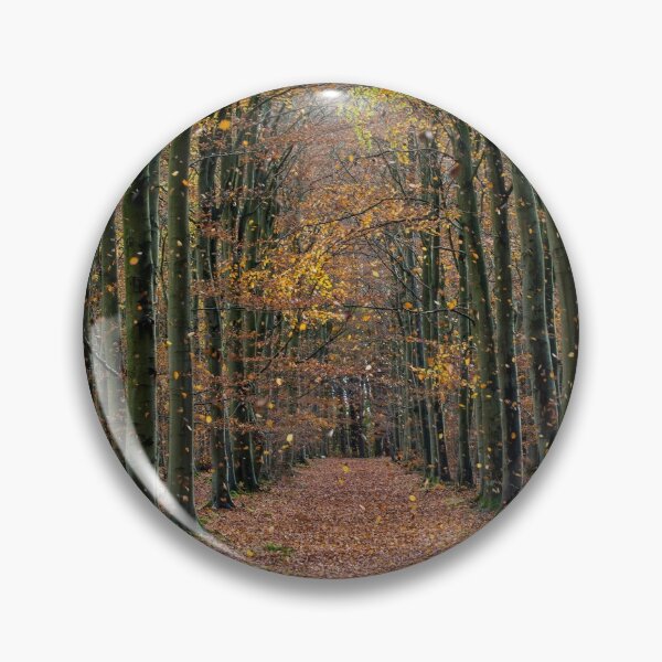 Item preview, Thetford Forest Autumn  designed and sold by KRBailey.