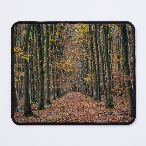 Artikelvorschau, Thetford Forest Herbst entworfen und verkauft von KRBailey.
