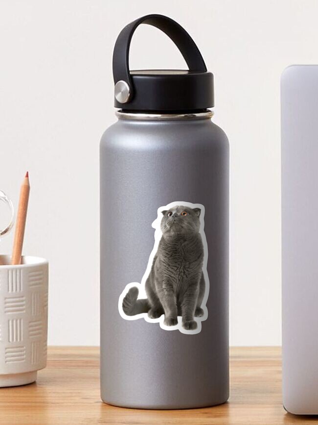 Thumbnail 1 of 3, Sticker, Cat designed and sold by ISF22.