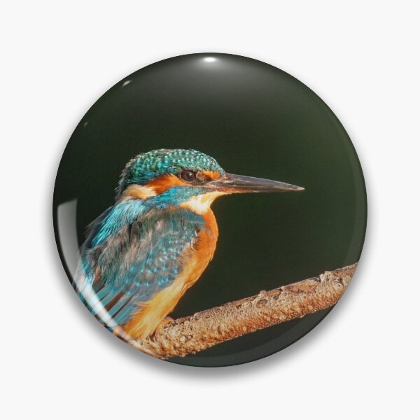 Item preview, Kingfisher designed and sold by Harry Bristow.