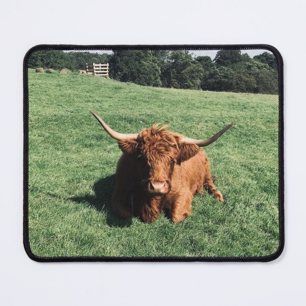 Item preview, Highland Coo designed and sold by Doug Cook.