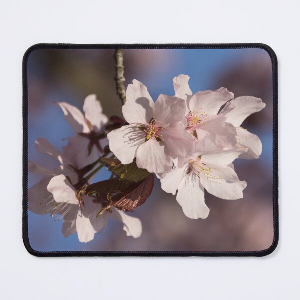 Item preview, Pink Spring - Sunlit Blossoms and Blue Sky, Vertical designed and sold by Georgia Mizuleva.