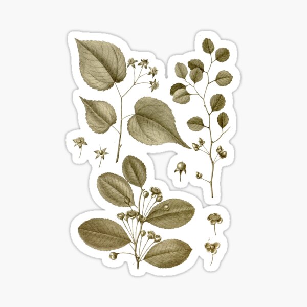 REGALITY 3 Sticker