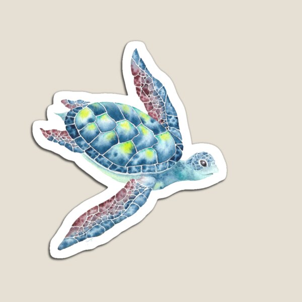 Turtle II Imán