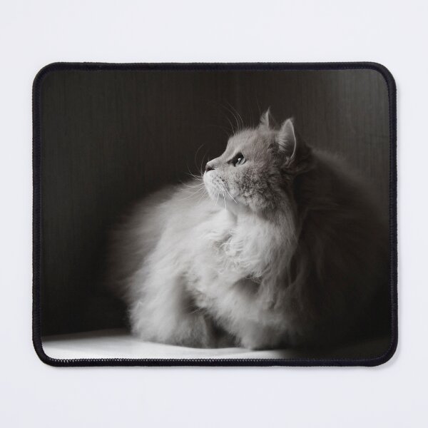 Item preview, Yet another rainy day. designed and sold by Pino 'Delfino' Esposito.