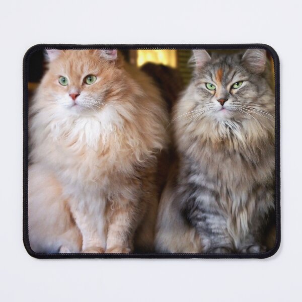 Item preview, Cesare and Cleopatra in a spontaneous portait designed and sold by Pino 'Delfino' Esposito.
