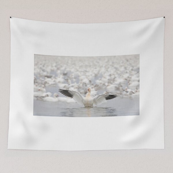 Item preview, "You can't blend in when you're born to stand out" - Snow Geese designed and sold by James Cumming.