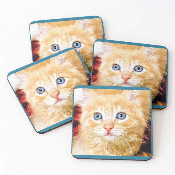Item preview, Ginger Mainecoon ragdoll kitten designed and sold by Fluffycat2020.