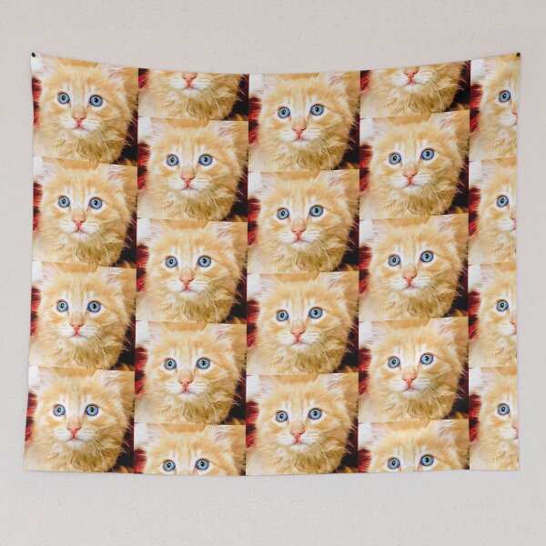 Item preview, Ginger Mainecoon ragdoll kitten designed and sold by Fluffycat2020.