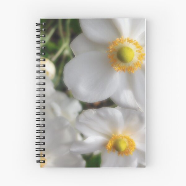 Item preview, Soft designed and sold by Sarah Schwartz.