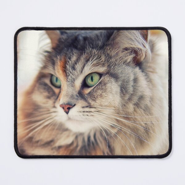 Item preview, Portrait of Cleopatra, a Siberian female cat designed and sold by Pino 'Delfino' Esposito.